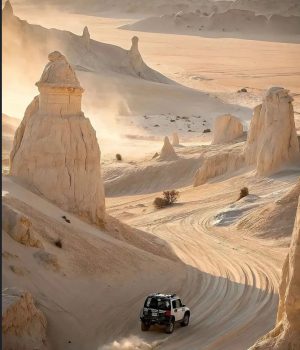 WhatsApp Image 2025-10-29 at 2.13.09 PM