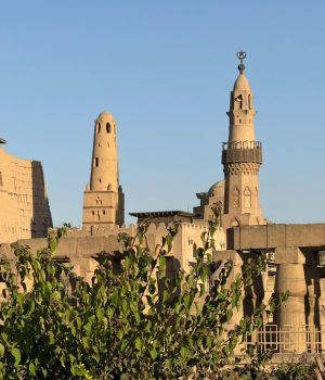 WhatsApp Image 2026-03-05 at 3.38.09 PM